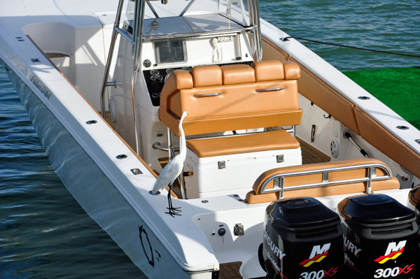 boat and bird